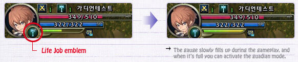 Guardian Gauge.jpg