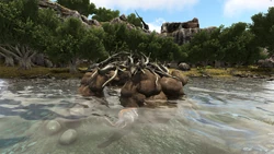 Beaver Sanctuary Ragnarok Ark Survival Evolved Map Wiki Fandom