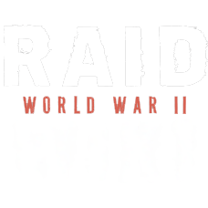 RAID - Wikipedia