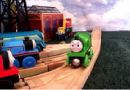 Percy in the yard