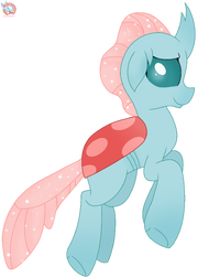 Ocellus