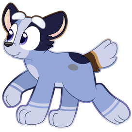 Socks (Bluey) | Rainbow Eevee Wiki | Fandom