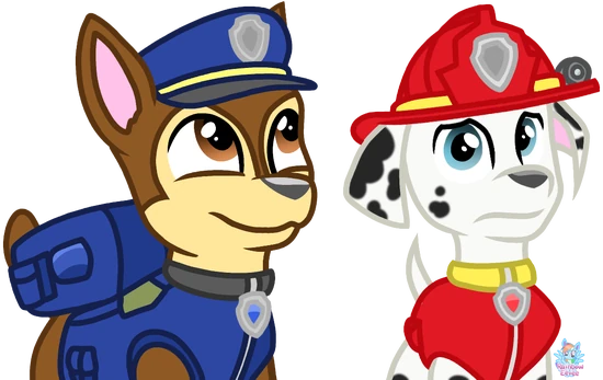 Palloncino Foil Orbz Paw Patrol Chase & Marshall 40 Cm Per Feste Di Compleanno