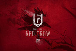 R6S-red-crow-image.jpg