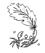 CrabFeather.png (280 KB)