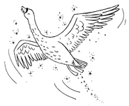 Belle flying.jpg (494 KB)