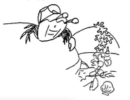 CrabTidePool.png (415 KB)