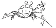 BubbleTroubleCrab.png (109 KB)