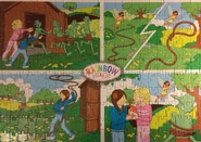 Solution to The Magic Pet puzzle