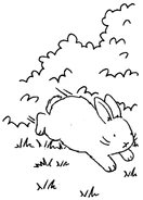 Misty hopping.jpg (231 KB)