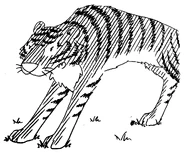 Shimmer the tiger!.jpg (552 KB) Shimmer as a tiger