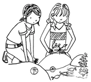 StBF SearchingTidePools.png (515 KB)