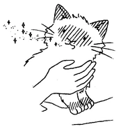 Shimmer3.png (489 KB)