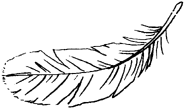 MagicFeather.png (34 KB)