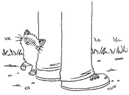 Shimmer1.jpg (261 KB)