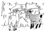 Rachel and Kirsty as goats.