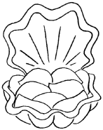 AtOF LovelyShell.png (26 KB)