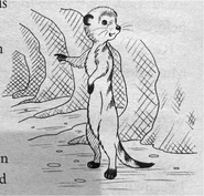 Meerkat.jpg (523 KB)