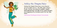 Profile from the official Rainbow Magic website