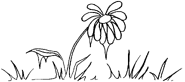 WiltingFlower.png (34 KB)