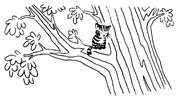 Kitten in a tree