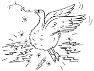 Belle taking flight.jpg (211 KB)