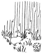 Shimmer at the fence.png (997 KB)