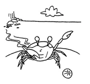 CrabPoint.png (371 KB)