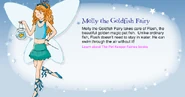 MollyProfile.png (135 KB) Profile from the Official Rainbow Magic Website
