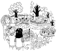 In the community garden.