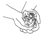 CarryingSky.png (344 KB)