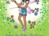 Felicia the Fidget Toy Fairy