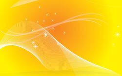 Yellow sunny.jpg