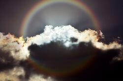 Rainbow-Circle-1-.jpg