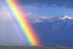 Rainbow-1-.jpg