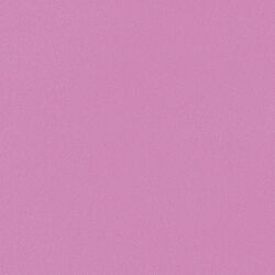VIOLET-01-BIG-1-.jpg