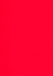 Rating-color-red-1eo2bqn-1-
