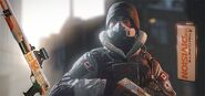 Frost in The Division Bundle