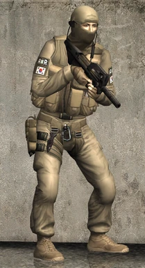 Pak Desert Uniform