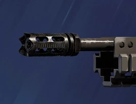 R6S Compensator