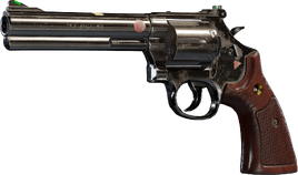 R6S LFP586