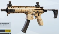Compass MPX Skin