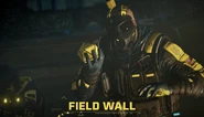 Field Wall Extraction 3