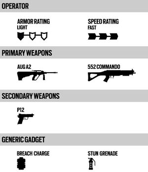 IQ Loadout