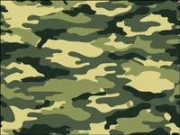 Olive Green Camo