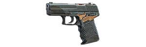 R6S NINJA SHOT USP40 WEAPON SKIN