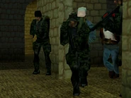 Operation Sun Devil success