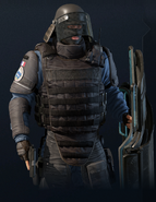 Montagne's model