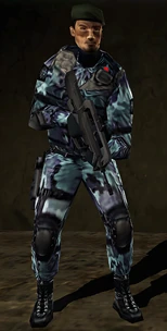 RS3 Blue Camo Loiselle