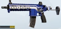 Bundespolizei 416C Skin
